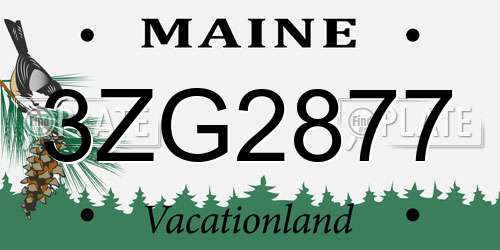 3ZG2877 Maine License Plate
