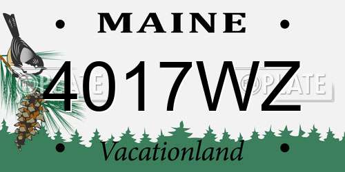 4017WZ Maine License Plate