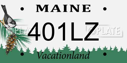 401LZ Maine License Plate