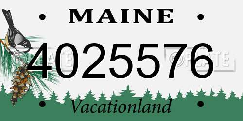 4025576 Maine License Plate