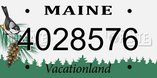 4028576 Maine License Plate