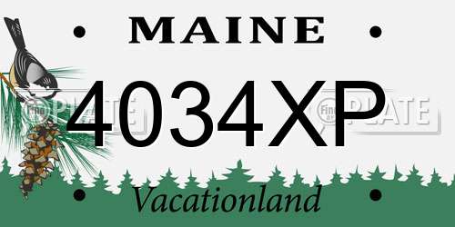 4034XP Maine License Plate