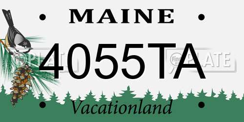 4055TA Maine License Plate