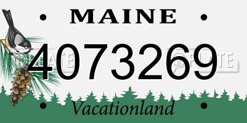 4073269 Maine License Plate