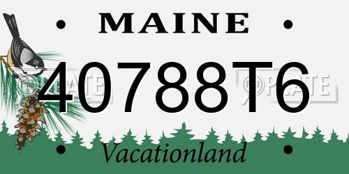 40788T6 Maine License Plate