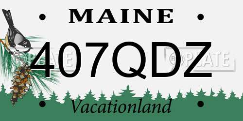 407QDZ Maine License Plate