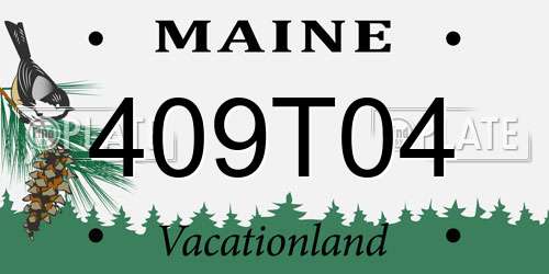 409T04 Maine License Plate