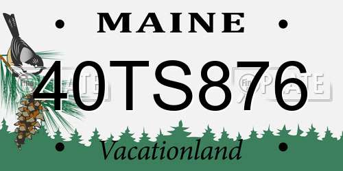 40TS876 Maine License Plate