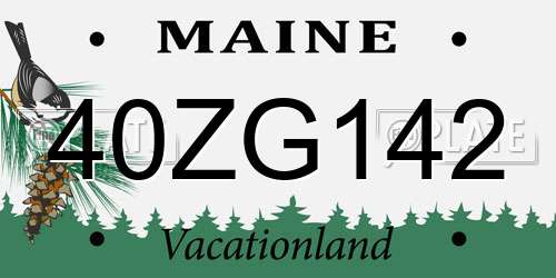 40ZG142 Maine License Plate