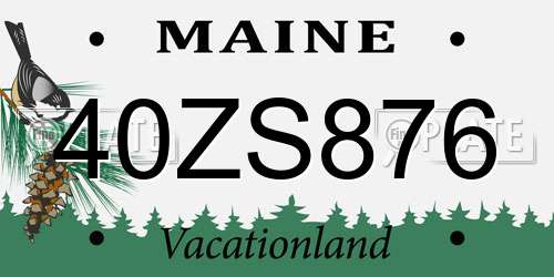 40ZS876 Maine License Plate