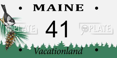 41 Maine License Plate
