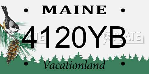 4120YB Maine License Plate