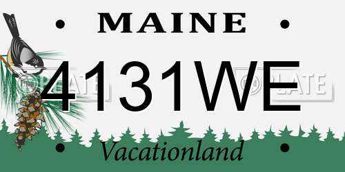 4131WE Maine License Plate