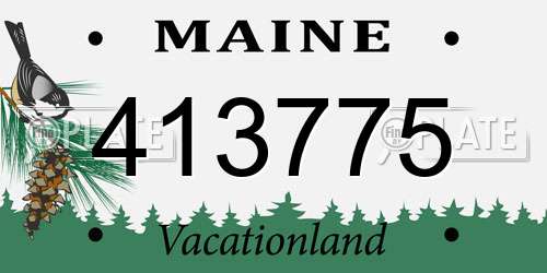 413775 Maine License Plate
