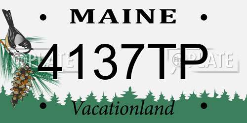 4137TP Maine License Plate