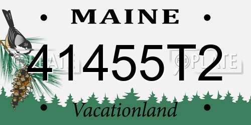 41455T2 Maine License Plate