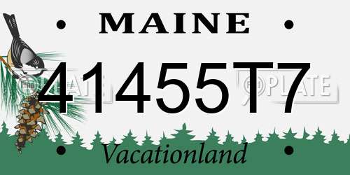 41455T7 Maine License Plate
