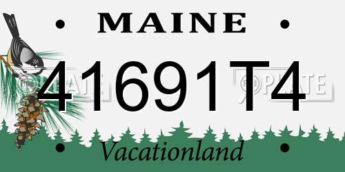 41691T4 Maine License Plate