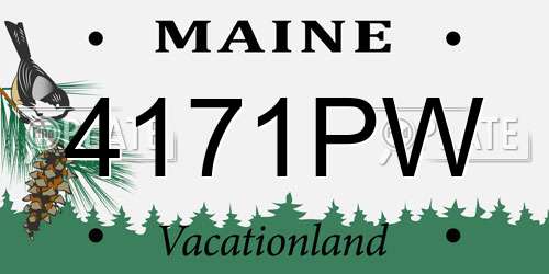 4171PW Maine License Plate