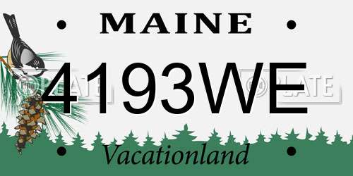 4193WE Maine License Plate