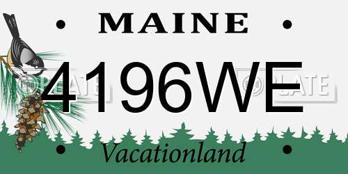 4196WE Maine License Plate