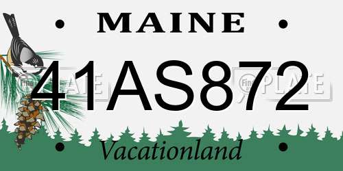 41AS872 Maine License Plate