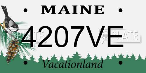 4207VE Maine License Plate