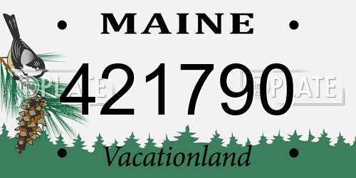 421790 Maine License Plate