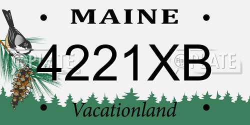 4221XB Maine License Plate