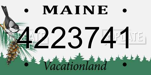 4223741 Maine License Plate