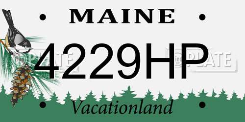 4229HP Maine License Plate