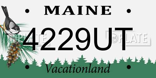 4229UT Maine License Plate