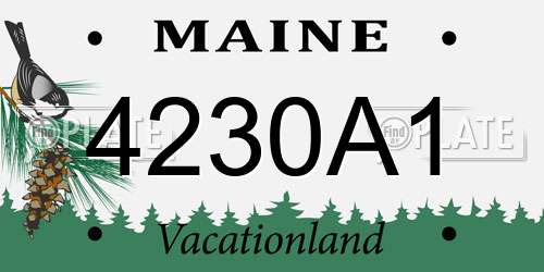 4230A1 Maine License Plate