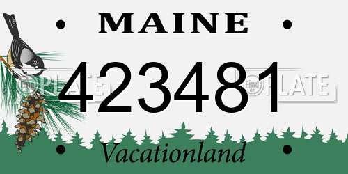 423481 Maine License Plate