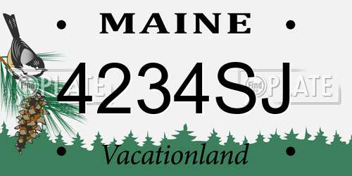 4234SJ Maine License Plate