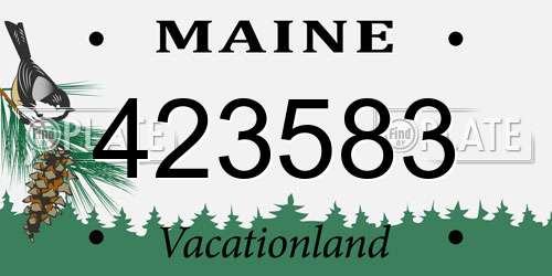 423583 Maine License Plate