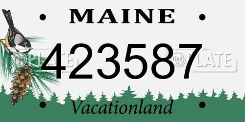 423587 Maine License Plate