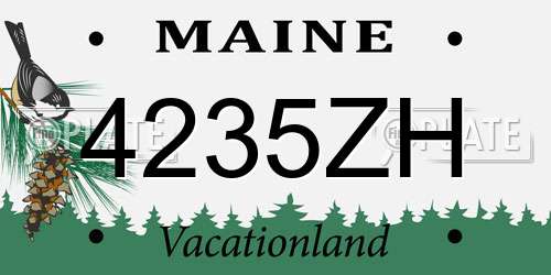 4235ZH Maine License Plate