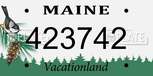 423742 Maine License Plate