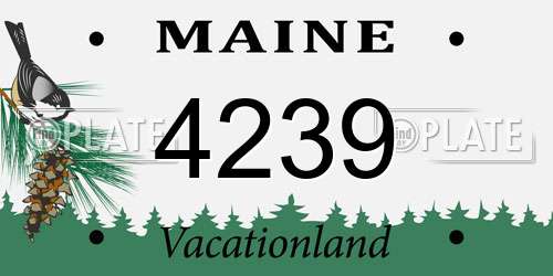4239 Maine License Plate
