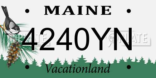4240YN Maine License Plate