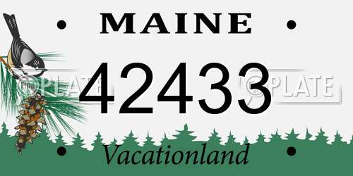 42433 Maine License Plate