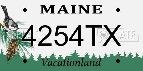 4254TX Maine License Plate
