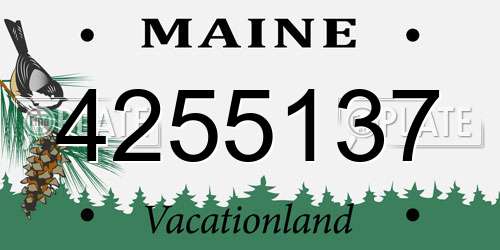 4255137 Maine License Plate