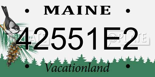 42551E2 Maine License Plate