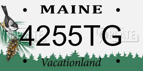 4255TG Maine License Plate