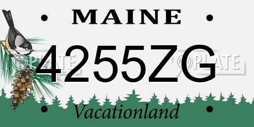 4255ZG Maine License Plate