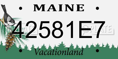 42581E7 Maine License Plate
