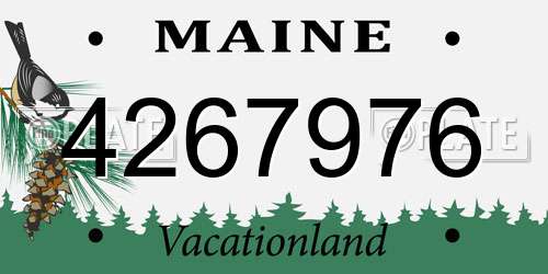 4267976 Maine License Plate
