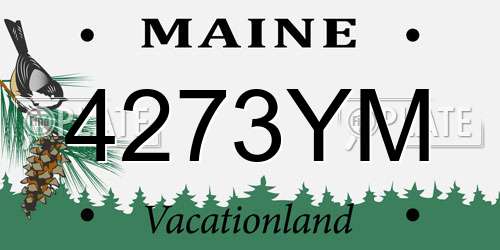 4273YM Maine License Plate